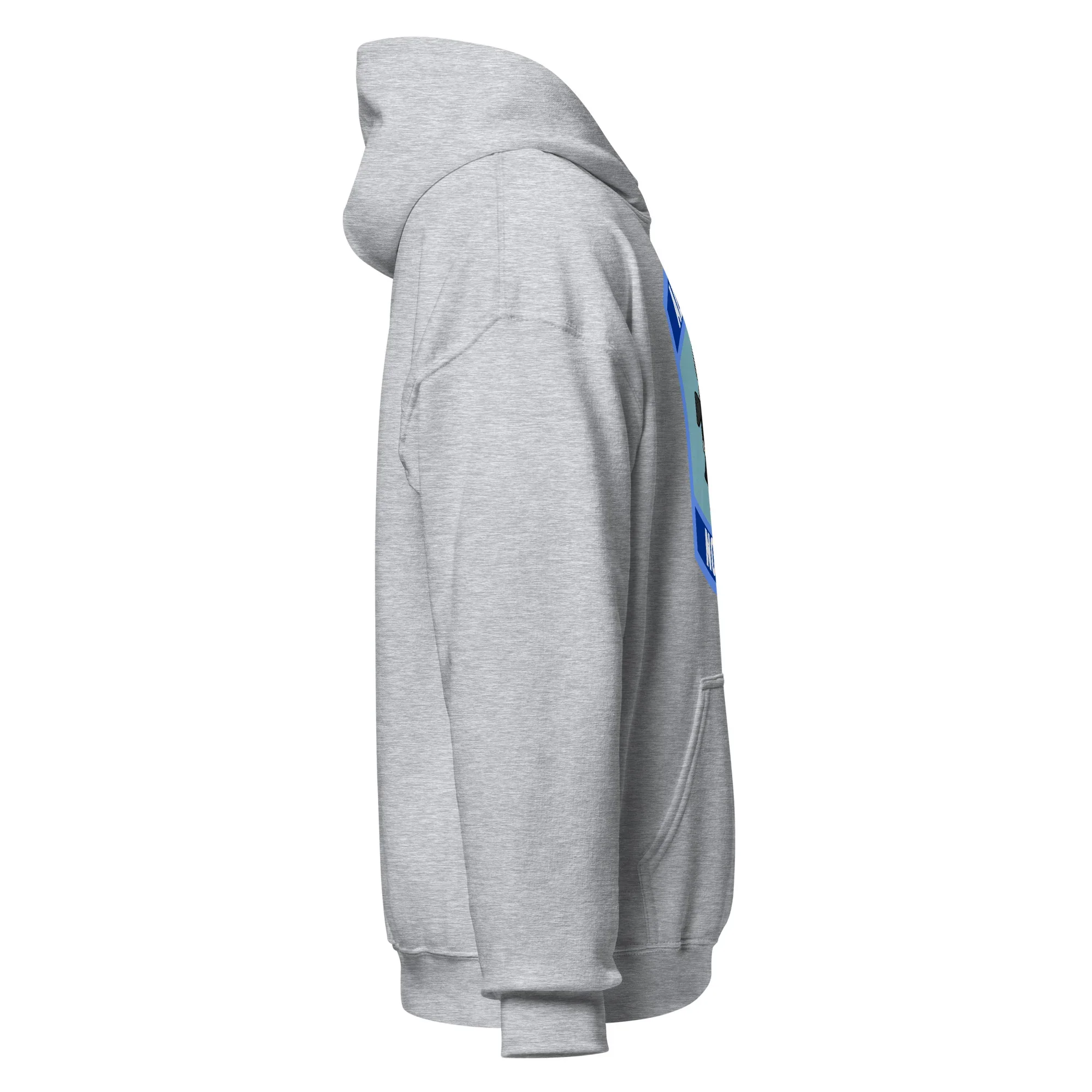 January 2026 POTM - ALL FIGHT NO FLIGHT - Unisex Hoodie - Image 24