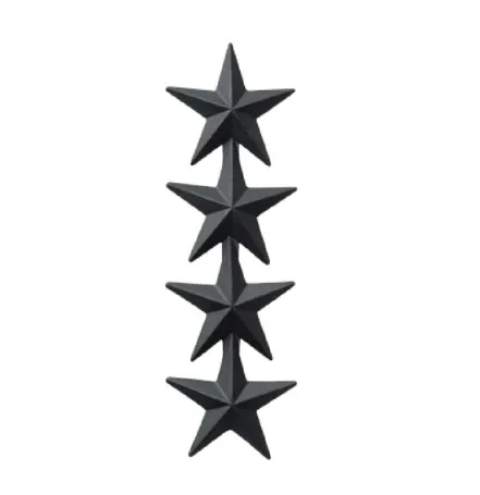 Subdued Black Metal Rank - Army - Image 14