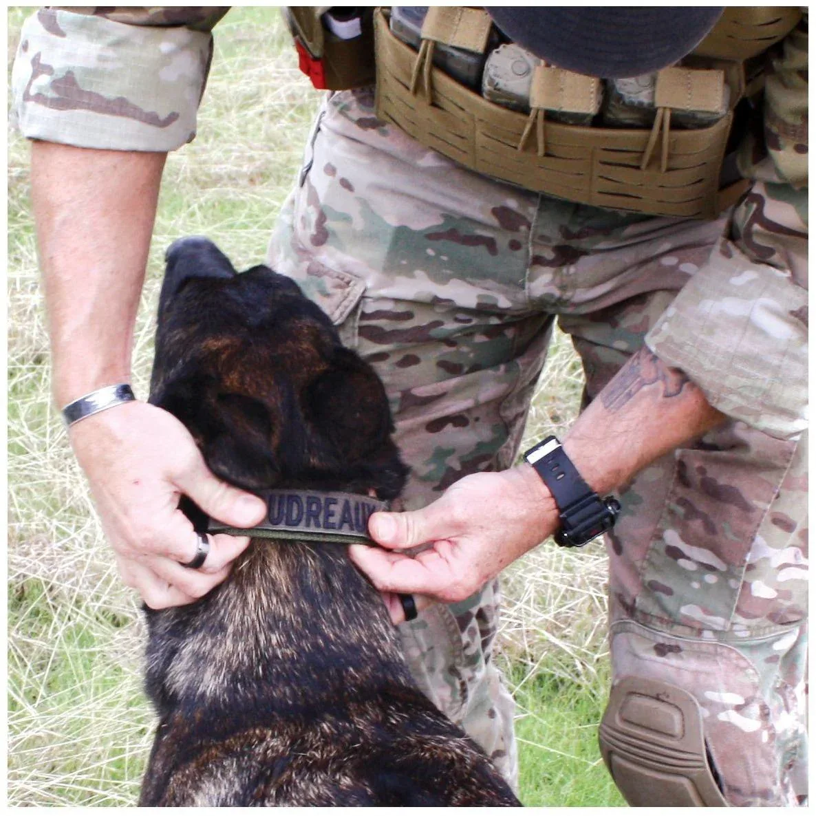 United States Tactical Dog Collar with Quick-Release Buckle - Image 10
