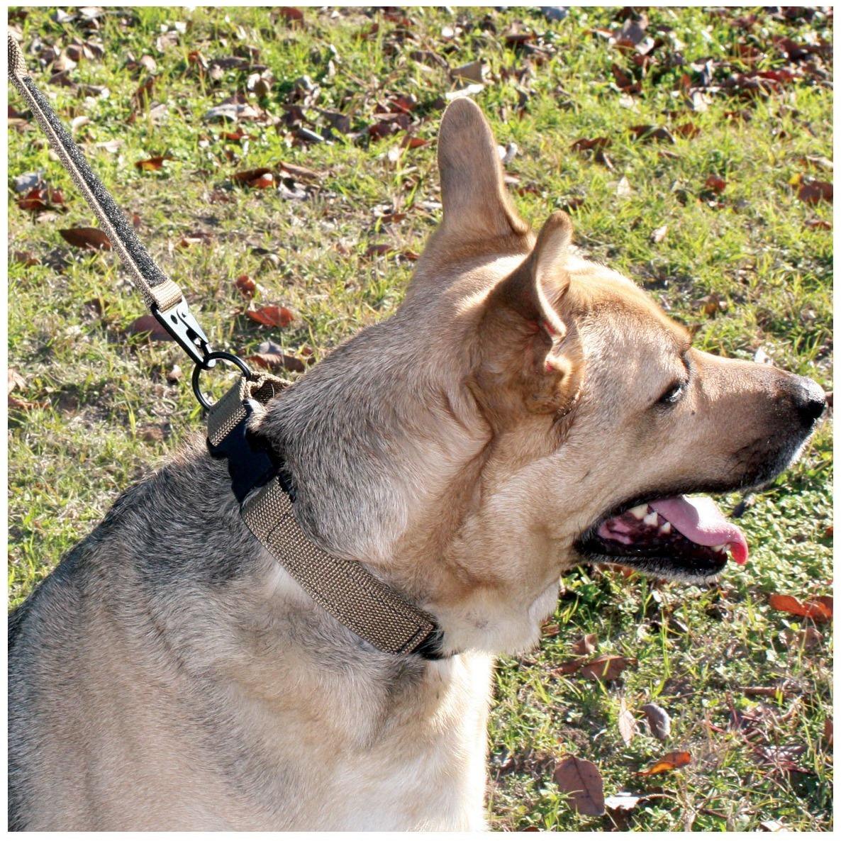United States Tactical Dog Collar with Quick-Release Buckle - Image 11