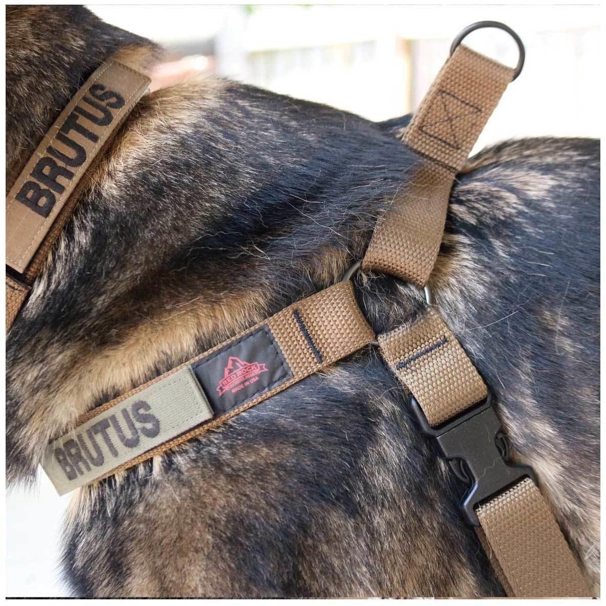 United States Tactical Dog Harness - Image 3