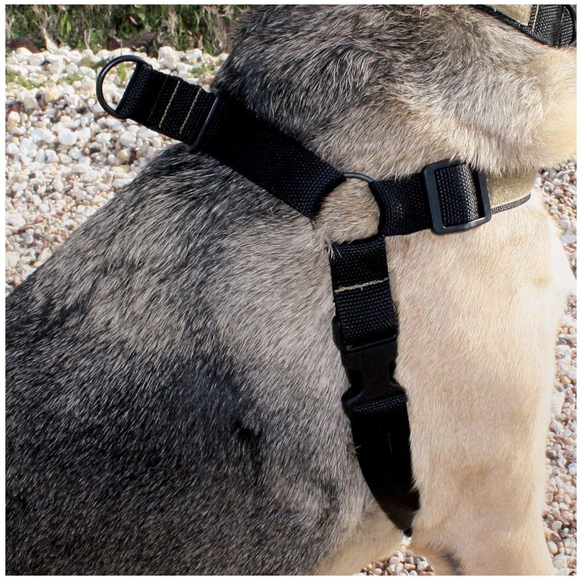 United States Tactical Dog Harness - Image 4