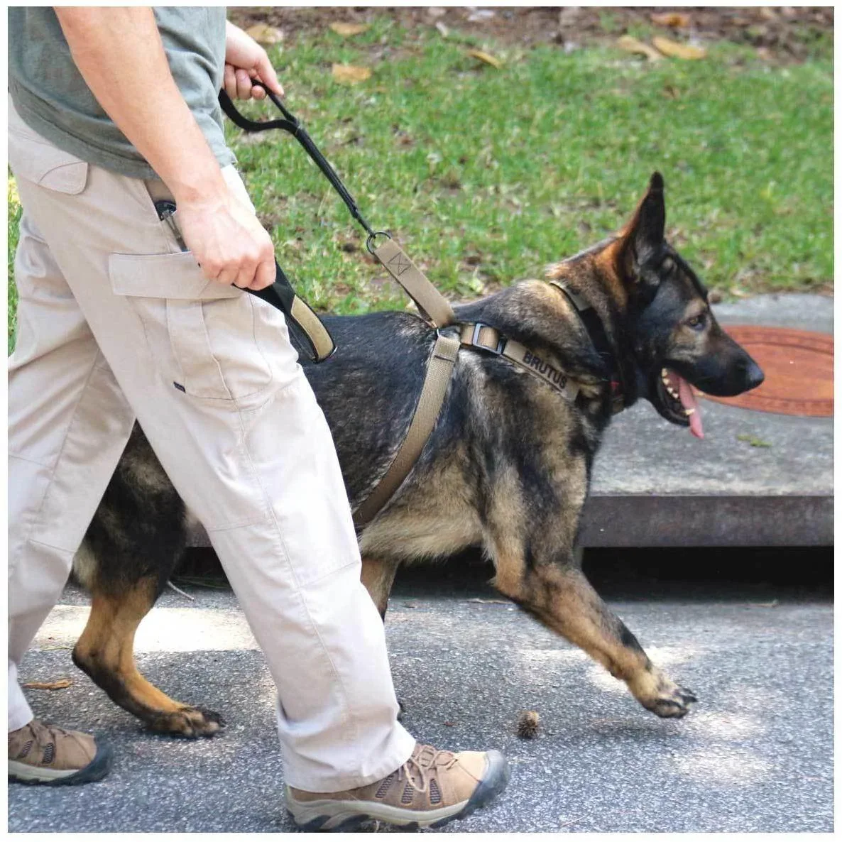 United States Tactical Dog Harness - Image 5